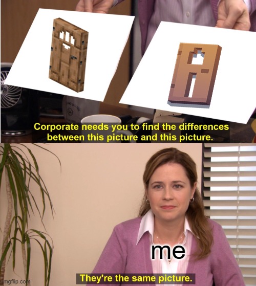 minecraft door stuff | me | image tagged in memes,they're the same picture | made w/ Imgflip meme maker