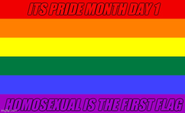 Happy pride month I'll be posting these every day | ITS PRIDE MONTH DAY 1; HOMOSEXUAL IS THE FIRST FLAG | image tagged in pride,gay pride,gay pride flag,lgbtq | made w/ Imgflip meme maker
