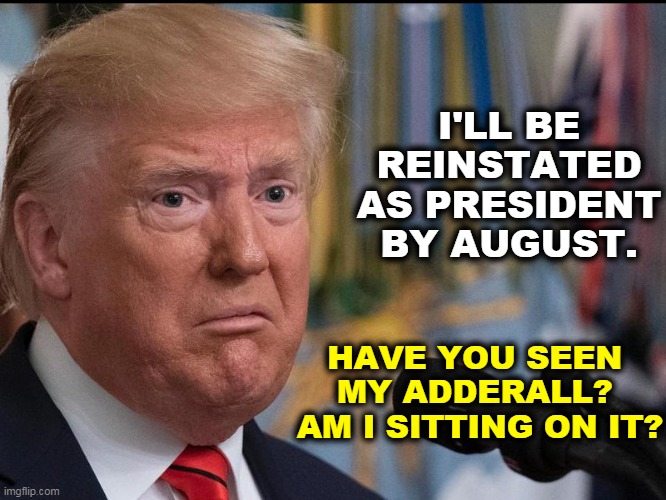 Delusional Donald | I'LL BE REINSTATED AS PRESIDENT BY AUGUST. HAVE YOU SEEN 

MY ADDERALL? 
AM I SITTING ON IT? | image tagged in donald trump - dilated eyes,trump,drugs,fantasy | made w/ Imgflip meme maker