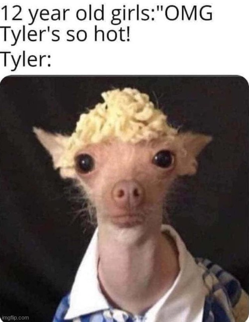 tyler is kinda cool ngl | image tagged in tyler,ewwww,oh wow are you actually reading these tags,why is the fbi here | made w/ Imgflip meme maker
