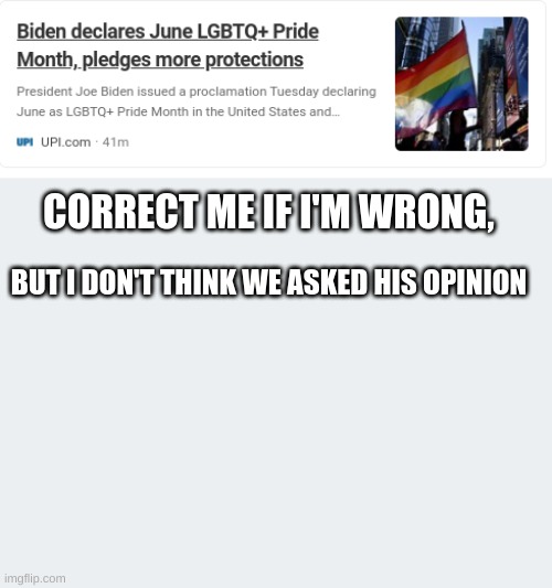 Like bruh | CORRECT ME IF I'M WRONG, BUT I DON'T THINK WE ASKED HIS OPINION | image tagged in lgbtq | made w/ Imgflip meme maker