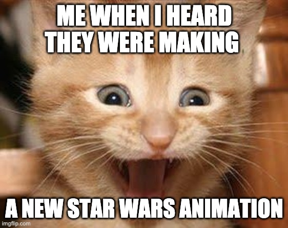 Excited Cat | ME WHEN I HEARD THEY WERE MAKING; A NEW STAR WARS ANIMATION | image tagged in memes,excited cat | made w/ Imgflip meme maker