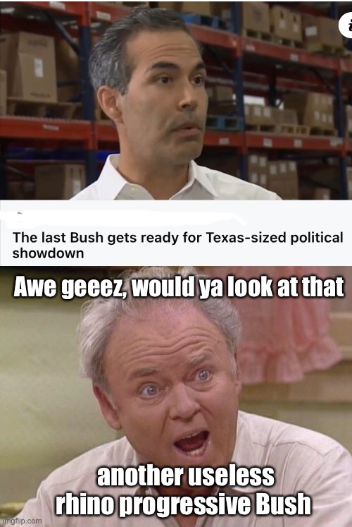 Just what we need | Awe geeez, would ya look at that; another useless rhino progressive Bush | image tagged in archie bunker,bush,politics lol | made w/ Imgflip meme maker