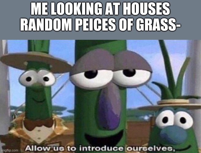 VeggieTales 'Allow us to introduce ourselfs' | ME LOOKING AT HOUSES RANDOM PEICES OF GRASS- | image tagged in veggietales 'allow us to introduce ourselfs' | made w/ Imgflip meme maker