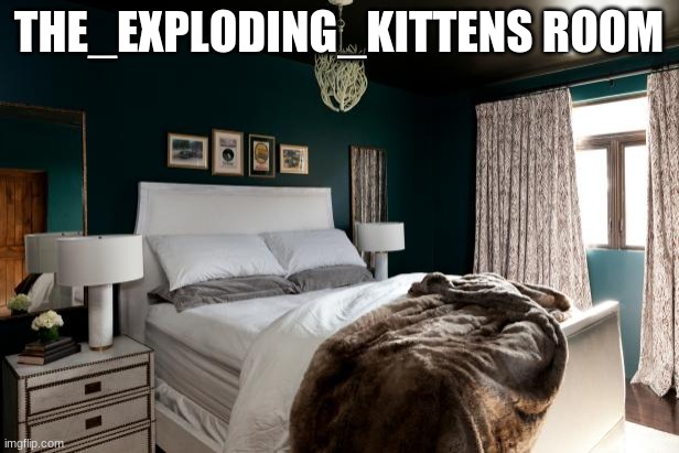 THE_EXPLODING_KITTENS ROOM | made w/ Imgflip meme maker