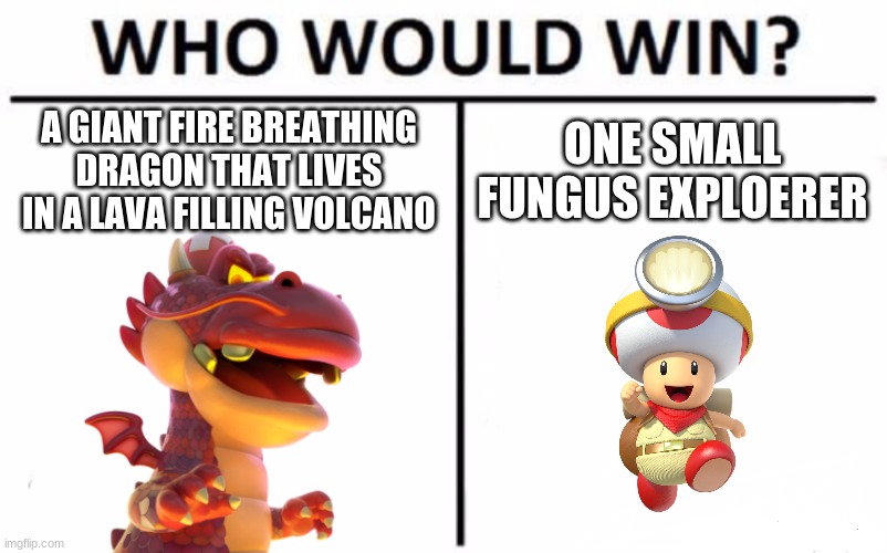 Who Would Win? | A GIANT FIRE BREATHING DRAGON THAT LIVES IN A LAVA FILLING VOLCANO; ONE SMALL FUNGUS EXPLOERER | image tagged in memes,who would win,toad | made w/ Imgflip meme maker