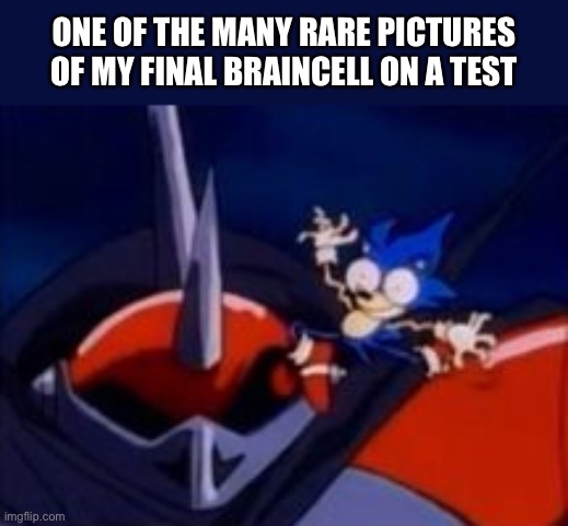 Idk what to name it | ONE OF THE MANY RARE PICTURES OF MY FINAL BRAINCELL ON A TEST | image tagged in memes,sonic,final braincell | made w/ Imgflip meme maker
