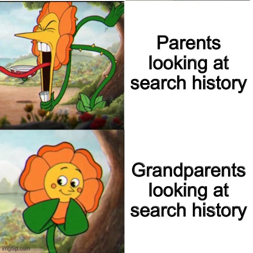 Search History | Parents looking at search history; Grandparents looking at search history | image tagged in cuphead flower | made w/ Imgflip meme maker