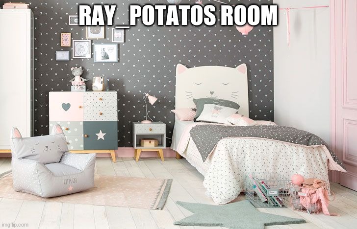 RAY_POTATOS ROOM | made w/ Imgflip meme maker