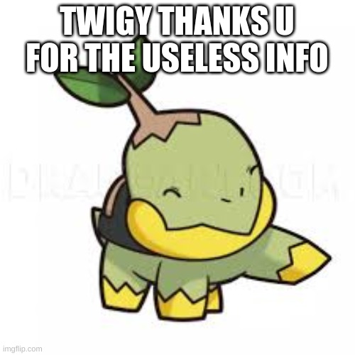 TWIGY THANKS U FOR THE USELESS INFO | made w/ Imgflip meme maker