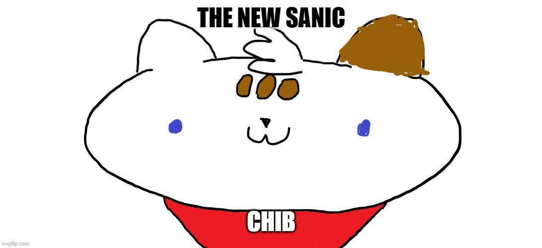 the new sanic | THE NEW SANIC; CHIB | image tagged in new,sanic | made w/ Imgflip meme maker