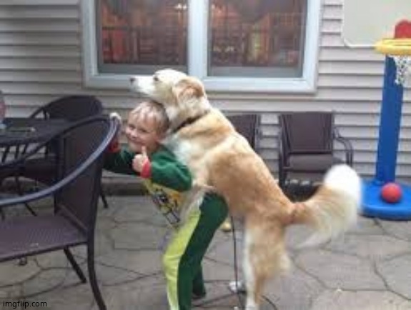 kids love dog humps | image tagged in kids love dog humps | made w/ Imgflip meme maker