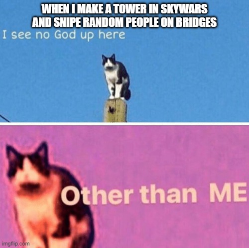 Skywars be like... | WHEN I MAKE A TOWER IN SKYWARS AND SNIPE RANDOM PEOPLE ON BRIDGES | image tagged in hail pole cat | made w/ Imgflip meme maker