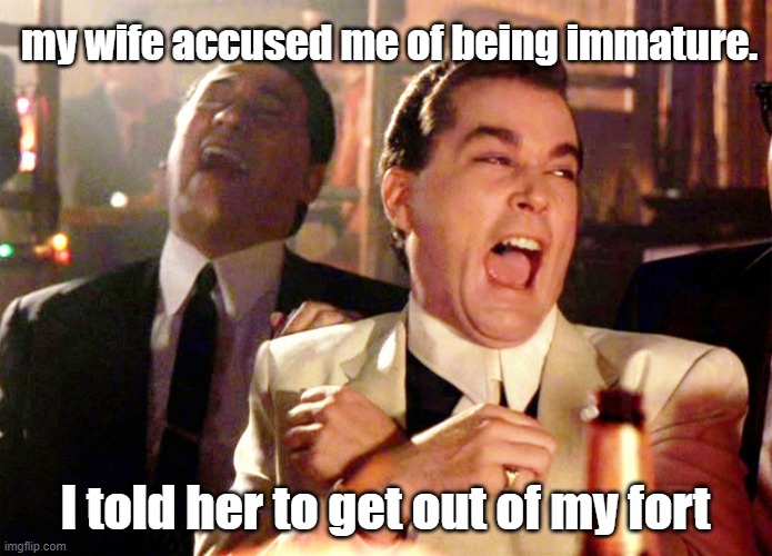 Being immature | my wife accused me of being immature. I told her to get out of my fort | image tagged in memes,good fellas hilarious | made w/ Imgflip meme maker