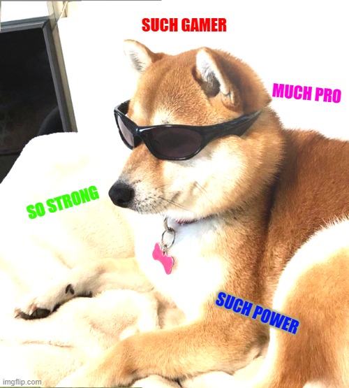 SUCH GAMER; MUCH PRO; SO STRONG; SUCH POWER | image tagged in doge | made w/ Imgflip meme maker