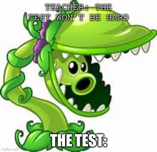 TEACHER: THE TEST WON’T BE HARD; THE TEST: | image tagged in memes | made w/ Imgflip meme maker