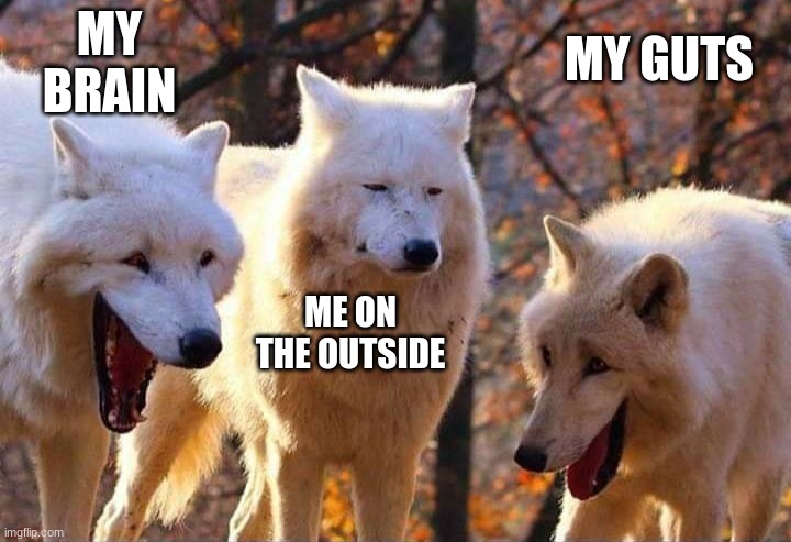 Laughing wolf | MY BRAIN ME ON THE OUTSIDE MY GUTS | image tagged in laughing wolf | made w/ Imgflip meme maker