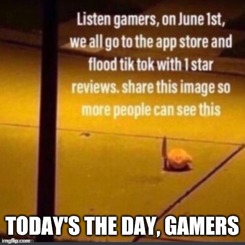 Flood Tiktok on June 1st | TODAY'S THE DAY, GAMERS | image tagged in flood tiktok on june 1st,oh wow are you actually reading these tags,kirby | made w/ Imgflip meme maker