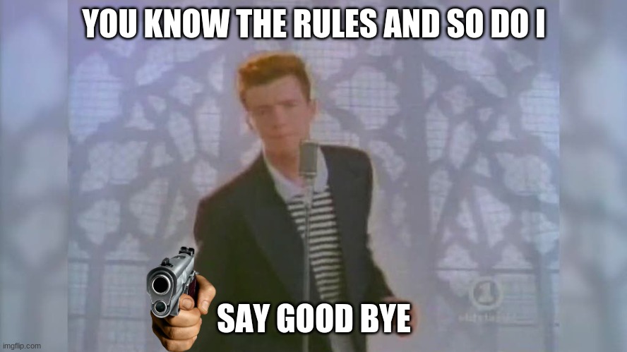 bye bye | YOU KNOW THE RULES AND SO DO I; SAY GOOD BYE | image tagged in rick roll | made w/ Imgflip meme maker