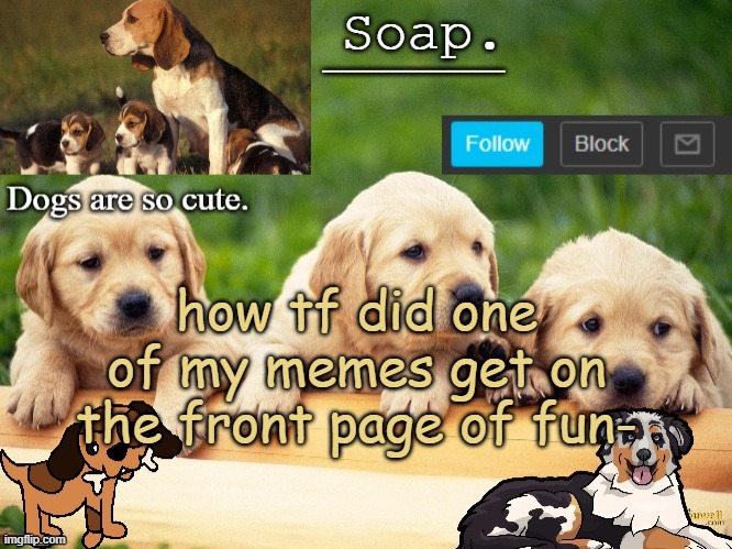Soap doggo temp | how tf did one of my memes get on the front page of fun- | image tagged in soap doggo temp ty yachi | made w/ Imgflip meme maker