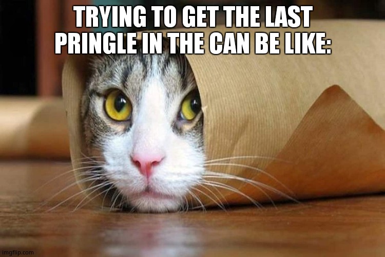 So true tho | TRYING TO GET THE LAST PRINGLE IN THE CAN BE LIKE: | image tagged in cats | made w/ Imgflip meme maker