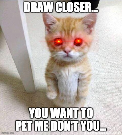 Cute Cat | DRAW CLOSER... YOU WANT TO PET ME DON'T YOU... | image tagged in memes,cute cat | made w/ Imgflip meme maker