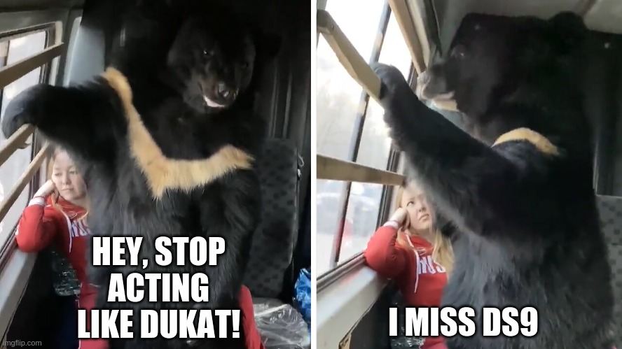 Remembering Bear | HEY, STOP ACTING LIKE DUKAT! I MISS DS9 | image tagged in bear,bus,memory,nostalgia | made w/ Imgflip meme maker