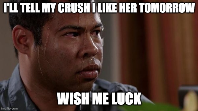 *nersous sweating* | I'LL TELL MY CRUSH I LIKE HER TOMORROW; WISH ME LUCK | image tagged in crush | made w/ Imgflip meme maker