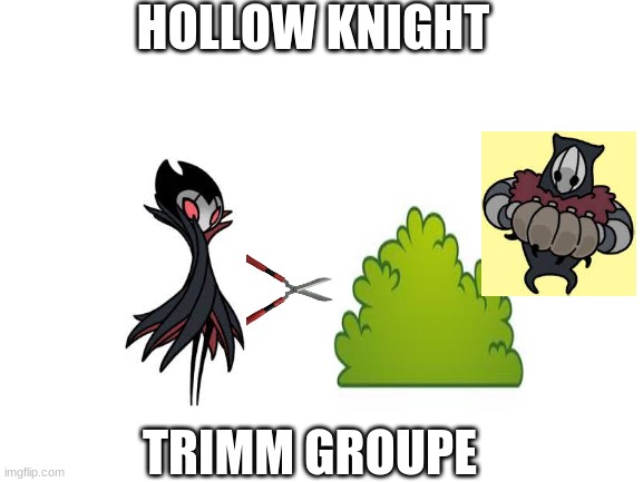 Hollow knight trimm groupe | HOLLOW KNIGHT; TRIMM GROUPE | image tagged in blank white template,hollow knight | made w/ Imgflip meme maker