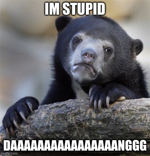 Confession Bear | IM STUPID; DAAAAAAAAAAAAAAAANGGG | image tagged in memes,confession bear | made w/ Imgflip meme maker