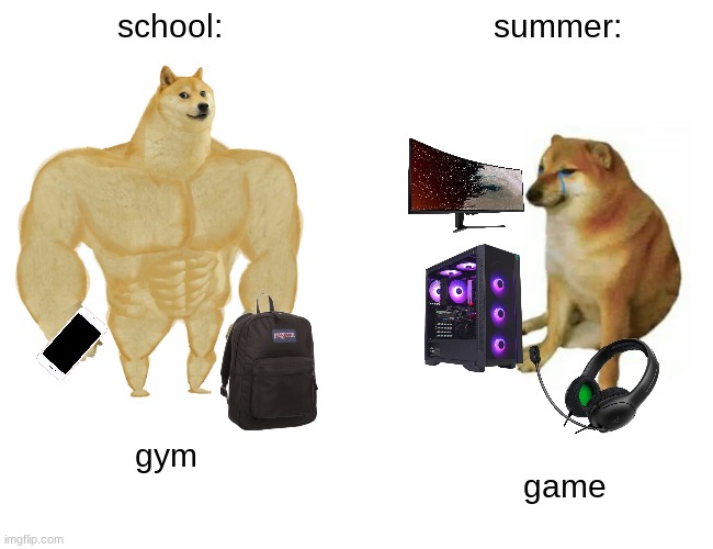 summer | school:; summer:; gym; game | image tagged in memes,buff doge vs cheems | made w/ Imgflip meme maker