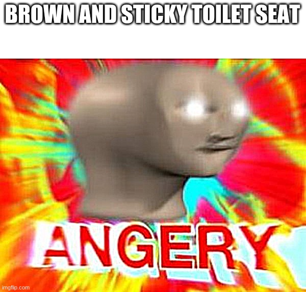 Surreal Angery | BROWN AND STICKY TOILET SEAT | image tagged in surreal angery | made w/ Imgflip meme maker