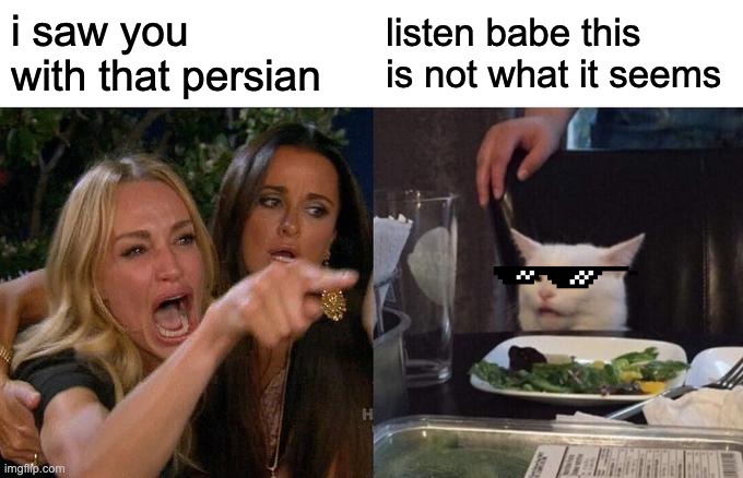 Woman Yelling At Cat Meme | i saw you with that persian; listen babe this is not what it seems | image tagged in memes,woman yelling at cat | made w/ Imgflip meme maker