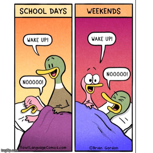 Oh how the tables have turned | image tagged in ducks,comics,weekend,school days,wake up | made w/ Imgflip meme maker