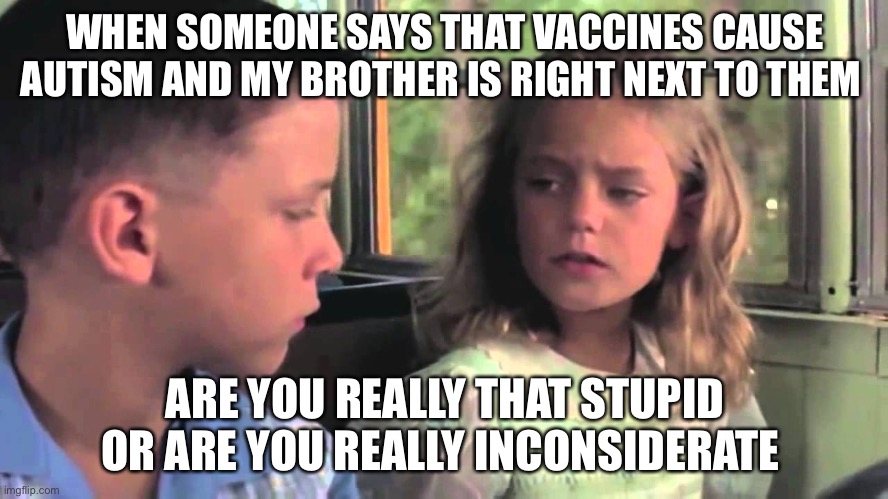 My brother has autism so when someone says that it makes my blood boil hotter then the sun | WHEN SOMEONE SAYS THAT VACCINES CAUSE AUTISM AND MY BROTHER IS RIGHT NEXT TO THEM; ARE YOU REALLY THAT STUPID OR ARE YOU REALLY INCONSIDERATE | image tagged in are you stupid or something | made w/ Imgflip meme maker