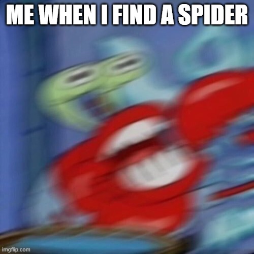 mrkrabsjumpblur | ME WHEN I FIND A SPIDER | image tagged in mrkrabsjumpblur | made w/ Imgflip meme maker