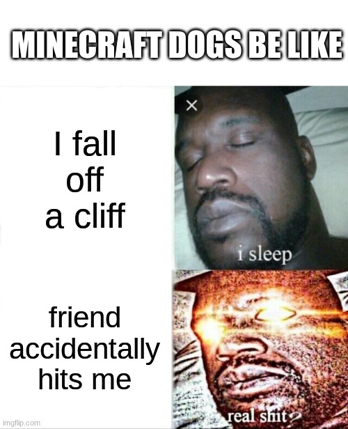 next thing u know the army of iron golems attack | MINECRAFT DOGS BE LIKE; I fall off a cliff; friend accidentally hits me | image tagged in memes,sleeping shaq,bro,my dog in nutz,oh wow are you actually reading these tags | made w/ Imgflip meme maker