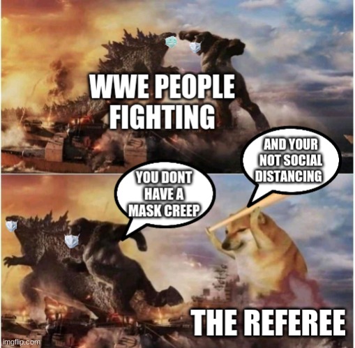 The Fight | image tagged in godzilla,king kong | made w/ Imgflip meme maker