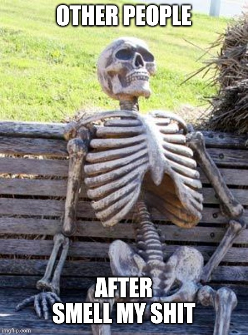 Waiting Skeleton | OTHER PEOPLE; AFTER SMELL MY SHIT | image tagged in memes,waiting skeleton | made w/ Imgflip meme maker