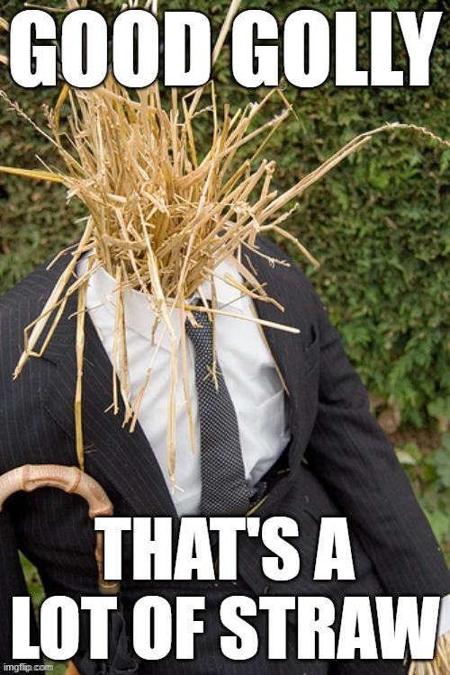 Strawman good golly that's a lot of straw | image tagged in strawman good golly that's a lot of straw | made w/ Imgflip meme maker