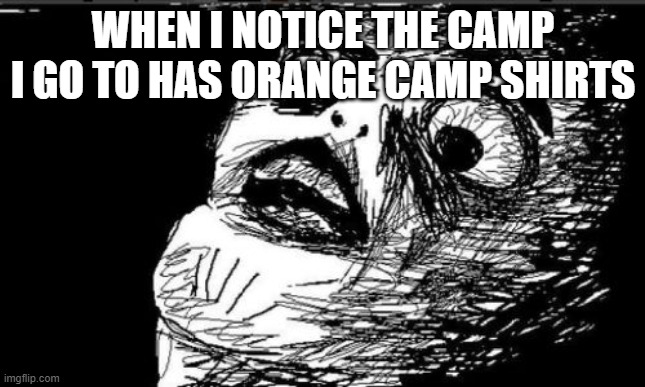 The dark-haired kid did like the pool a lot tho... | WHEN I NOTICE THE CAMP I GO TO HAS ORANGE CAMP SHIRTS | image tagged in memes,gasp rage face | made w/ Imgflip meme maker