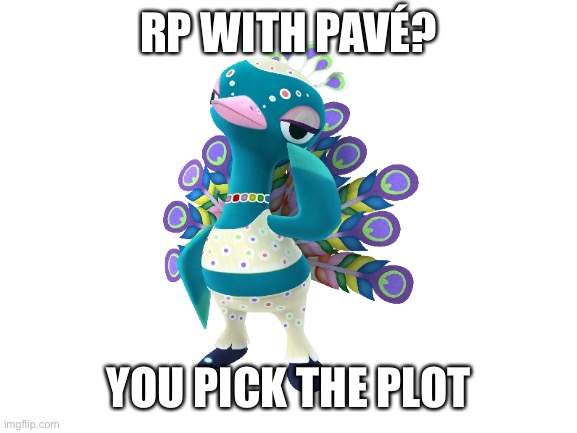 Blank White Template | RP WITH PAVÉ? YOU PICK THE PLOT | image tagged in blank white template | made w/ Imgflip meme maker