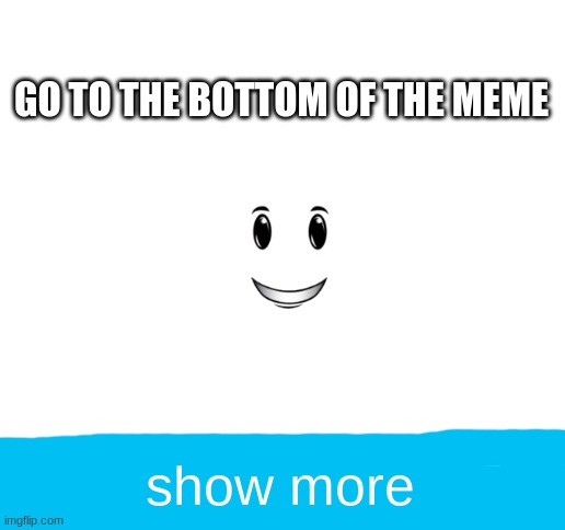Best meme | GO TO THE BOTTOM OF THE MEME; show more | image tagged in idiot,funny,memes,funny memes | made w/ Imgflip meme maker