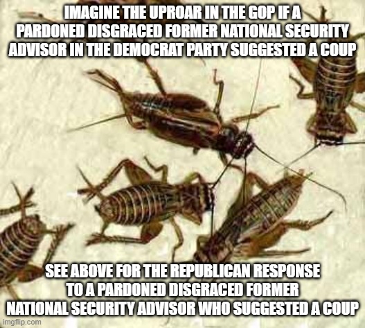 Crickets | IMAGINE THE UPROAR IN THE GOP IF A PARDONED DISGRACED FORMER NATIONAL SECURITY ADVISOR IN THE DEMOCRAT PARTY SUGGESTED A COUP; SEE ABOVE FOR THE REPUBLICAN RESPONSE TO A PARDONED DISGRACED FORMER NATIONAL SECURITY ADVISOR WHO SUGGESTED A COUP | image tagged in crickets | made w/ Imgflip meme maker