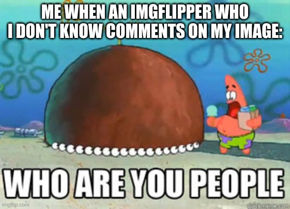 Who are you people |  ME WHEN AN IMGFLIPPER WHO I DON'T KNOW COMMENTS ON MY IMAGE: | image tagged in who are you people | made w/ Imgflip meme maker