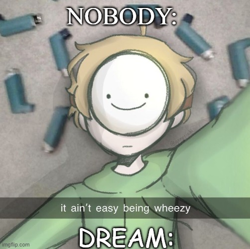 anybody whos a fan of the dsmp will understand | NOBODY:; DREAM: | image tagged in dsmp,memes | made w/ Imgflip meme maker