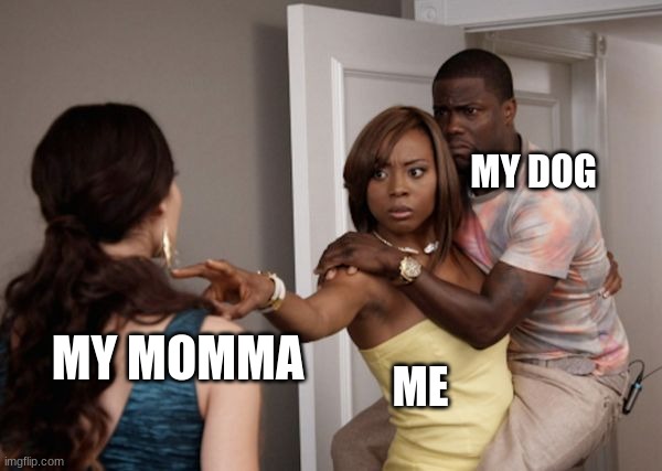 aha so true | MY DOG; MY MOMMA; ME | image tagged in protected kevin hart | made w/ Imgflip meme maker