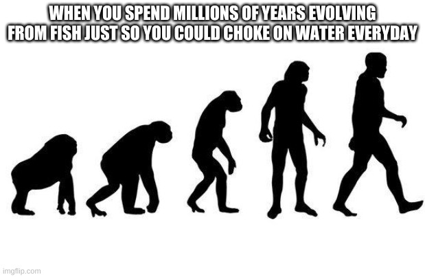 Human Evolution |  WHEN YOU SPEND MILLIONS OF YEARS EVOLVING FROM FISH JUST SO YOU COULD CHOKE ON WATER EVERYDAY | image tagged in human evolution | made w/ Imgflip meme maker