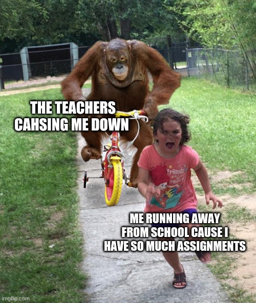 Orangutan chasing girl on a tricycle | THE TEACHERS CAHSING ME DOWN; ME RUNNING AWAY FROM SCHOOL CAUSE I HAVE SO MUCH ASSIGNMENTS | image tagged in orangutan chasing girl on a tricycle | made w/ Imgflip meme maker