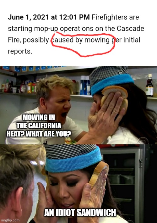 MOWING IN THE CALIFORNIA HEAT? WHAT ARE YOU? AN IDIOT SANDWICH | image tagged in gordon ramsay idiot sandwich | made w/ Imgflip meme maker